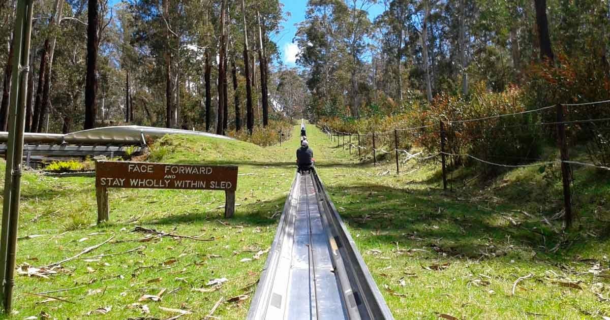 Tobogán en naturaleza, Canberra